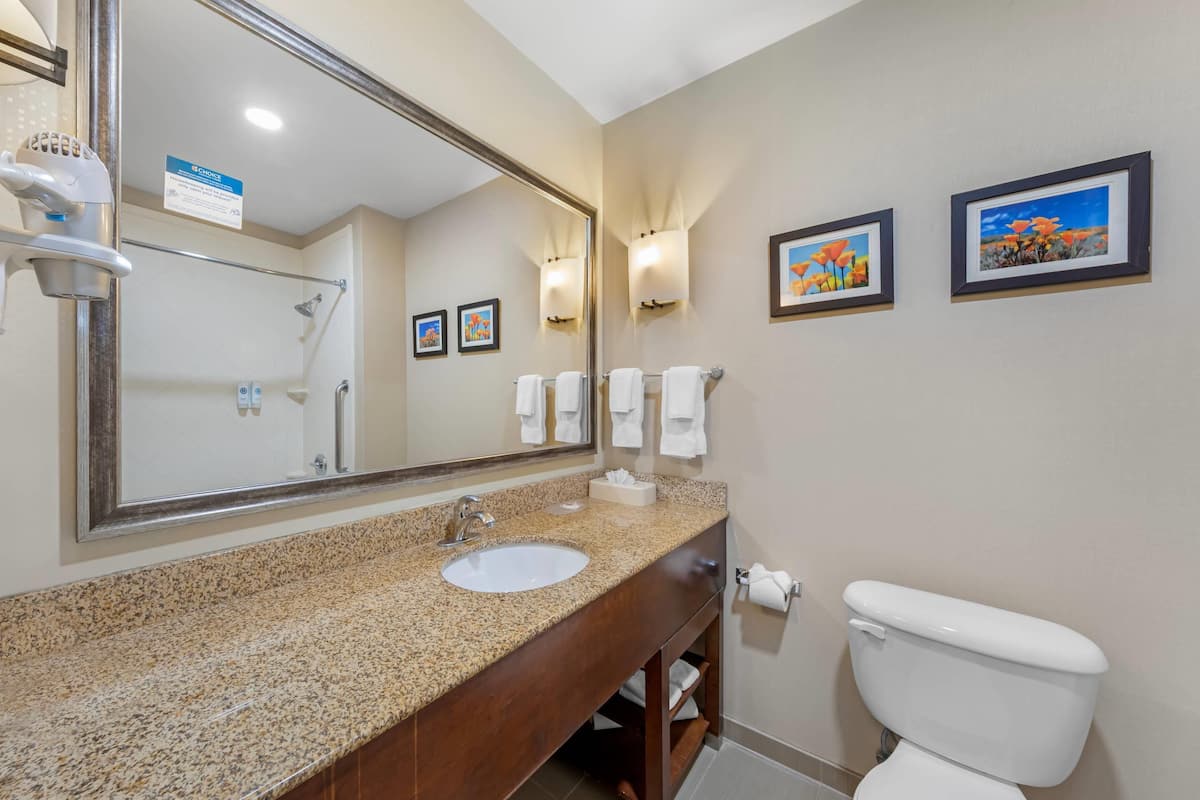 basic double room, multiple beds, non smoking | 1 bedroom, pillow-top beds, in-room safe, desk