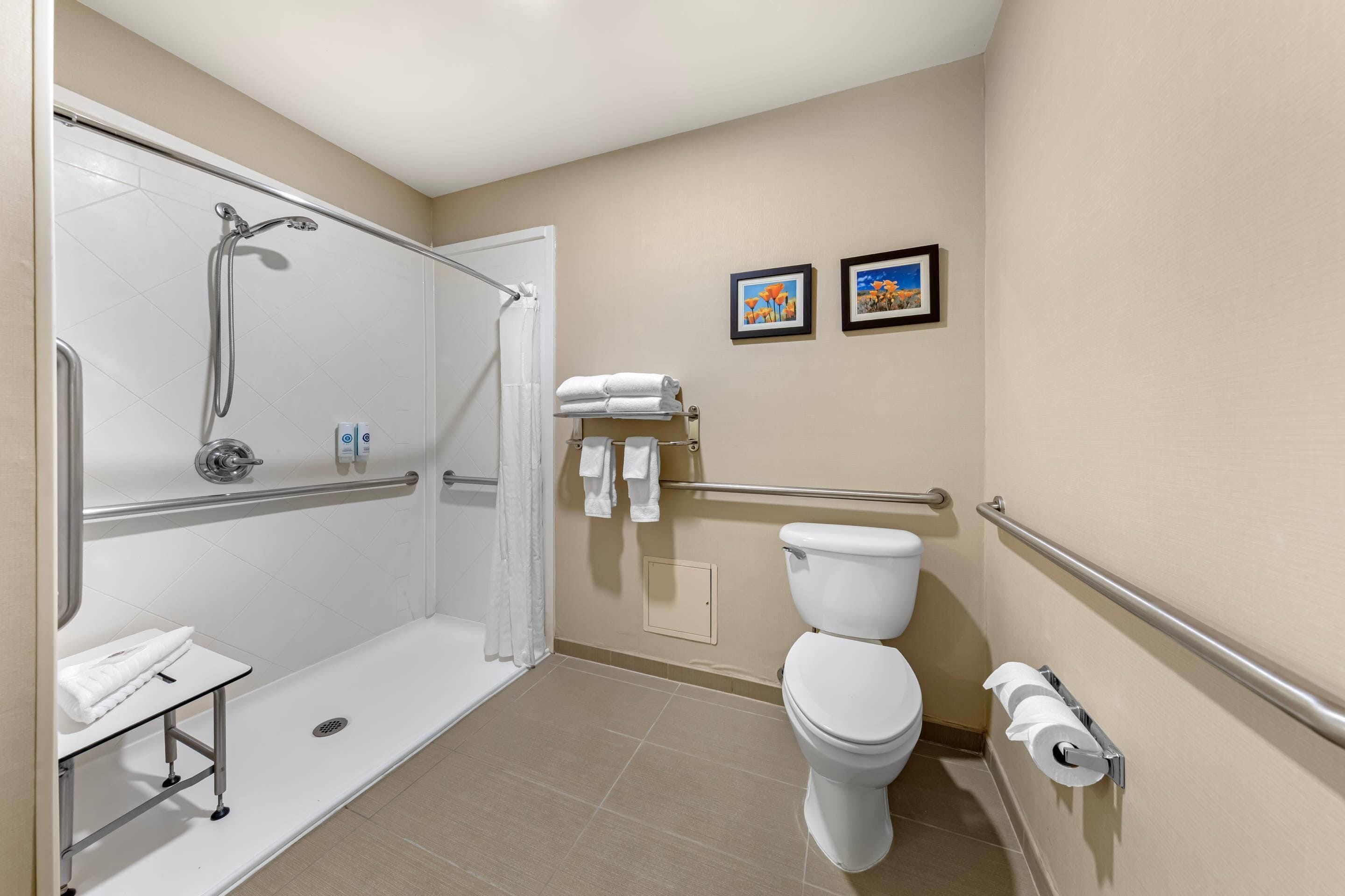 A bathroom with a shower, toilet, and handrails. There are two framed pictures on the wall.