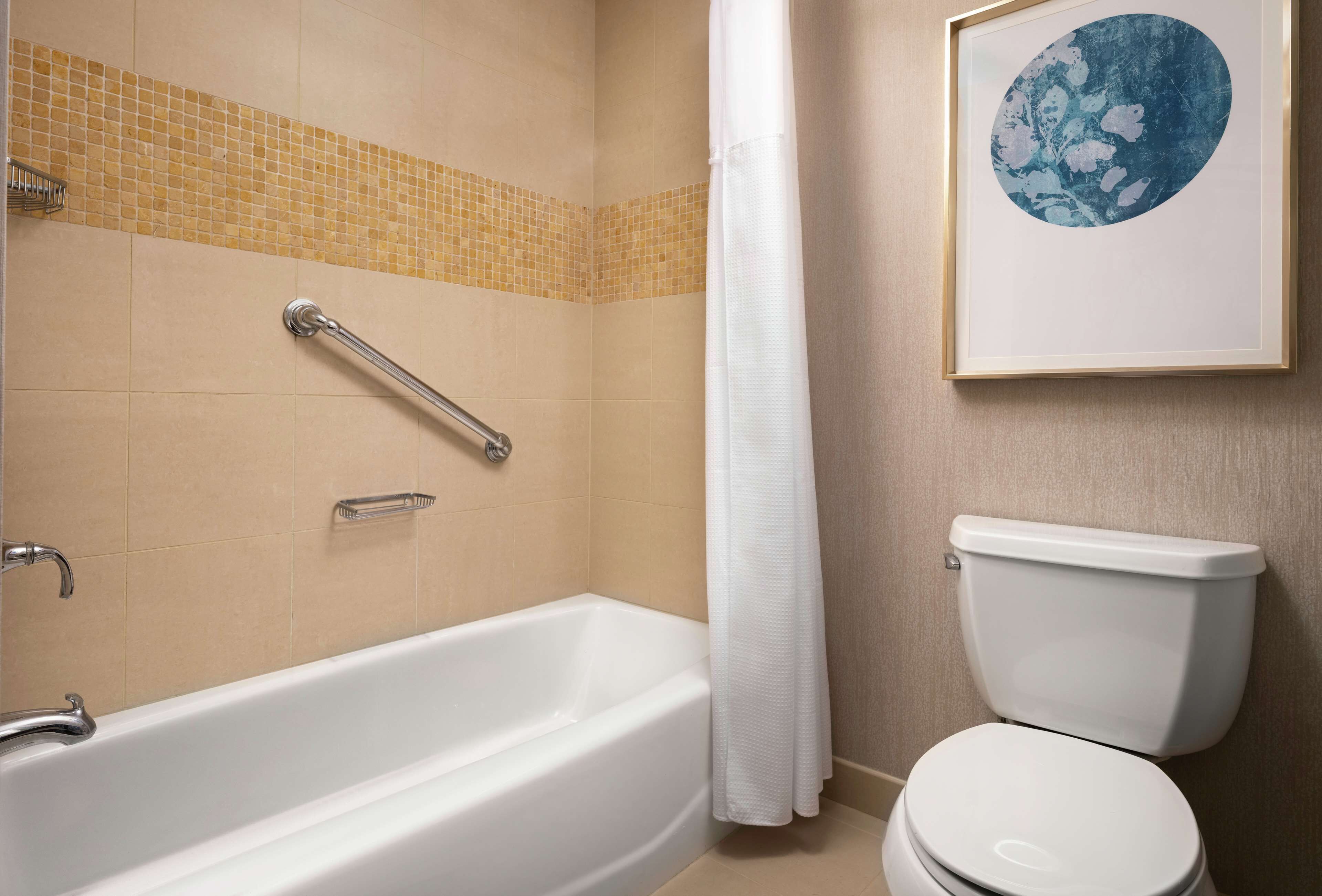 A bathroom with a bathtub, a toilet, a handrail, and a framed picture on the wall.