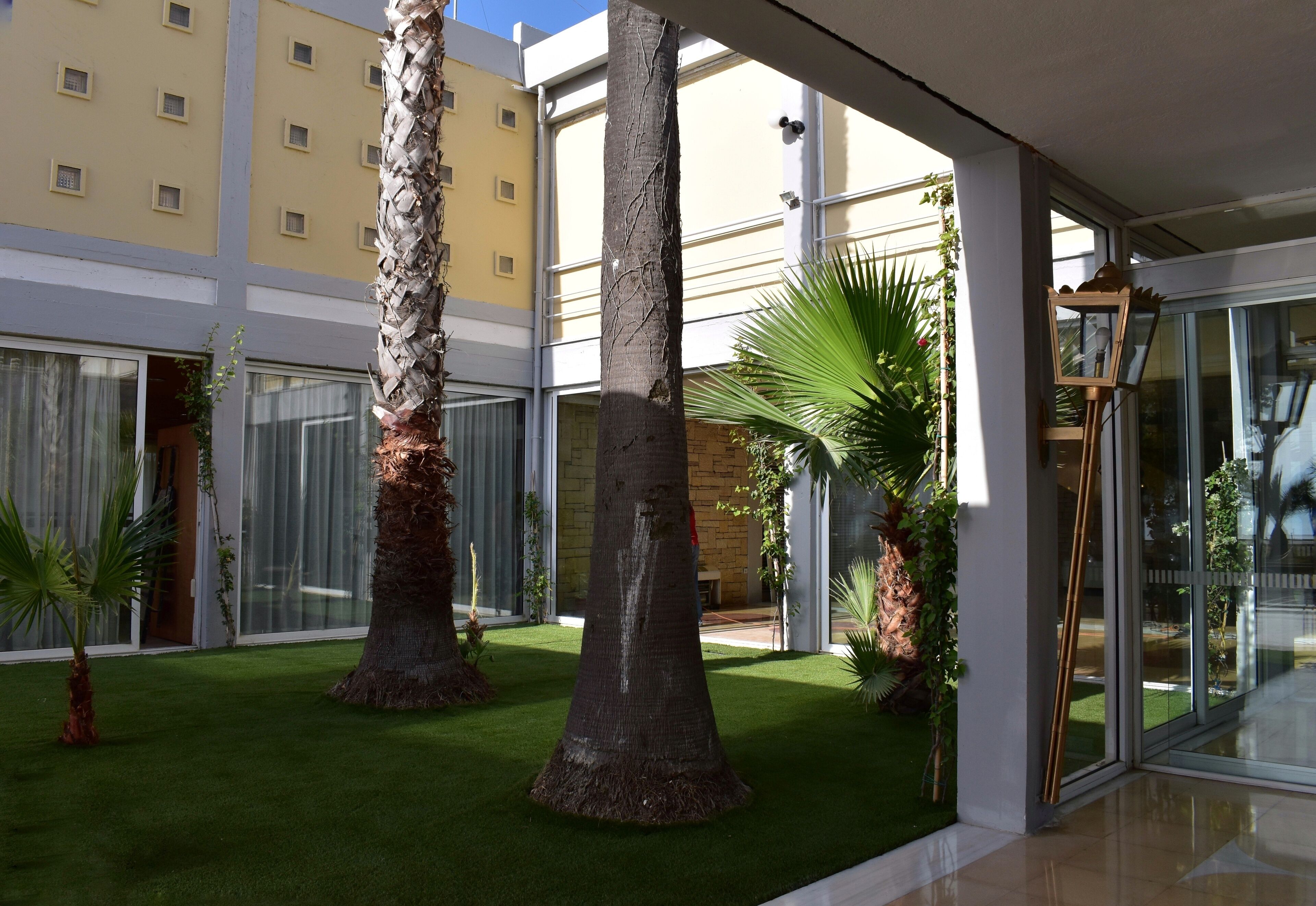 A courtyard with artificial palm trees, a glass door, and a building with multiple windows.