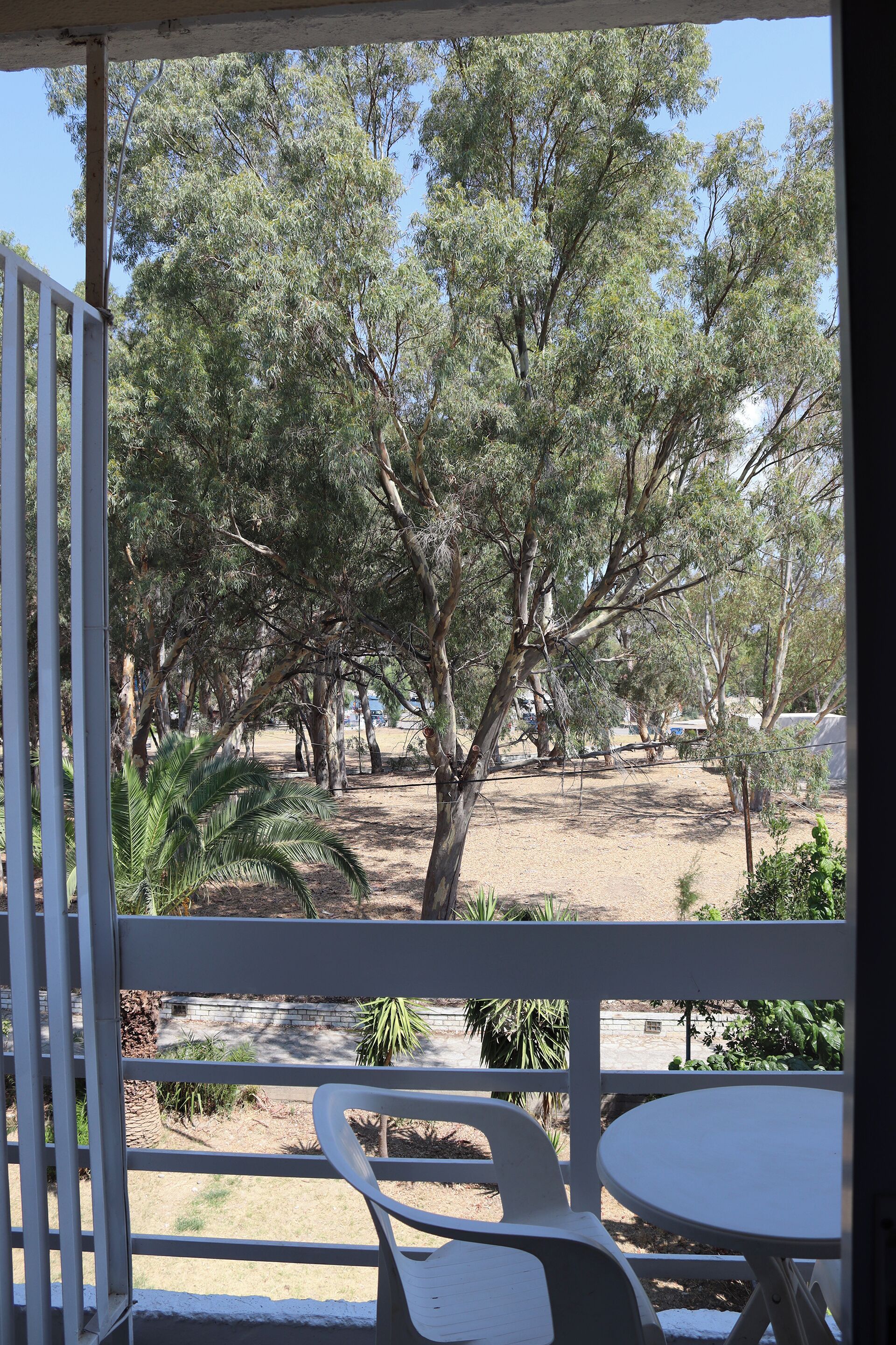 A covered outdoor area with a table and chairs, surrounded by trees and a dirt ground.