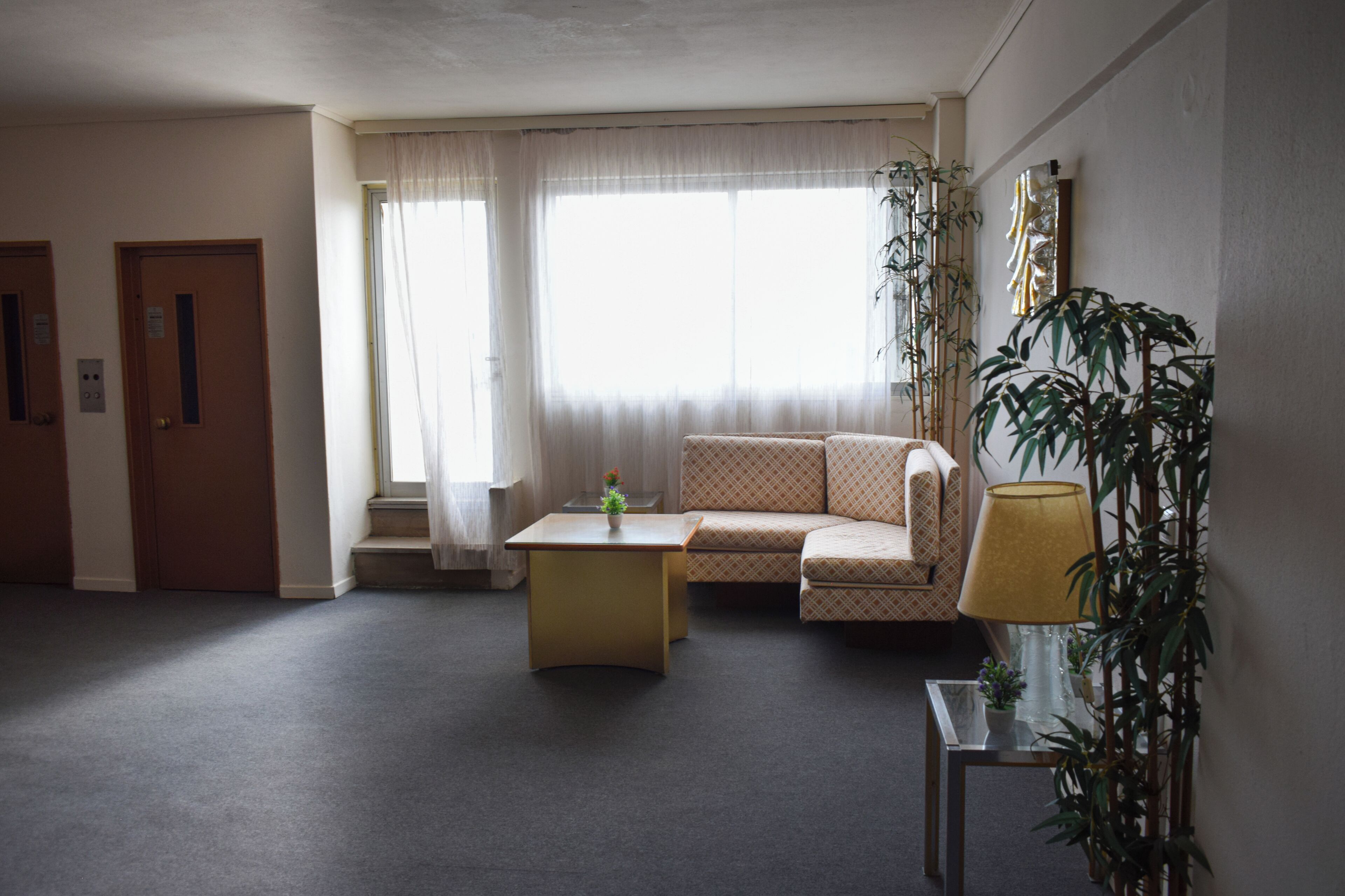 Un salon avec un canapé, une table basse, une lampe et une plante en pot.