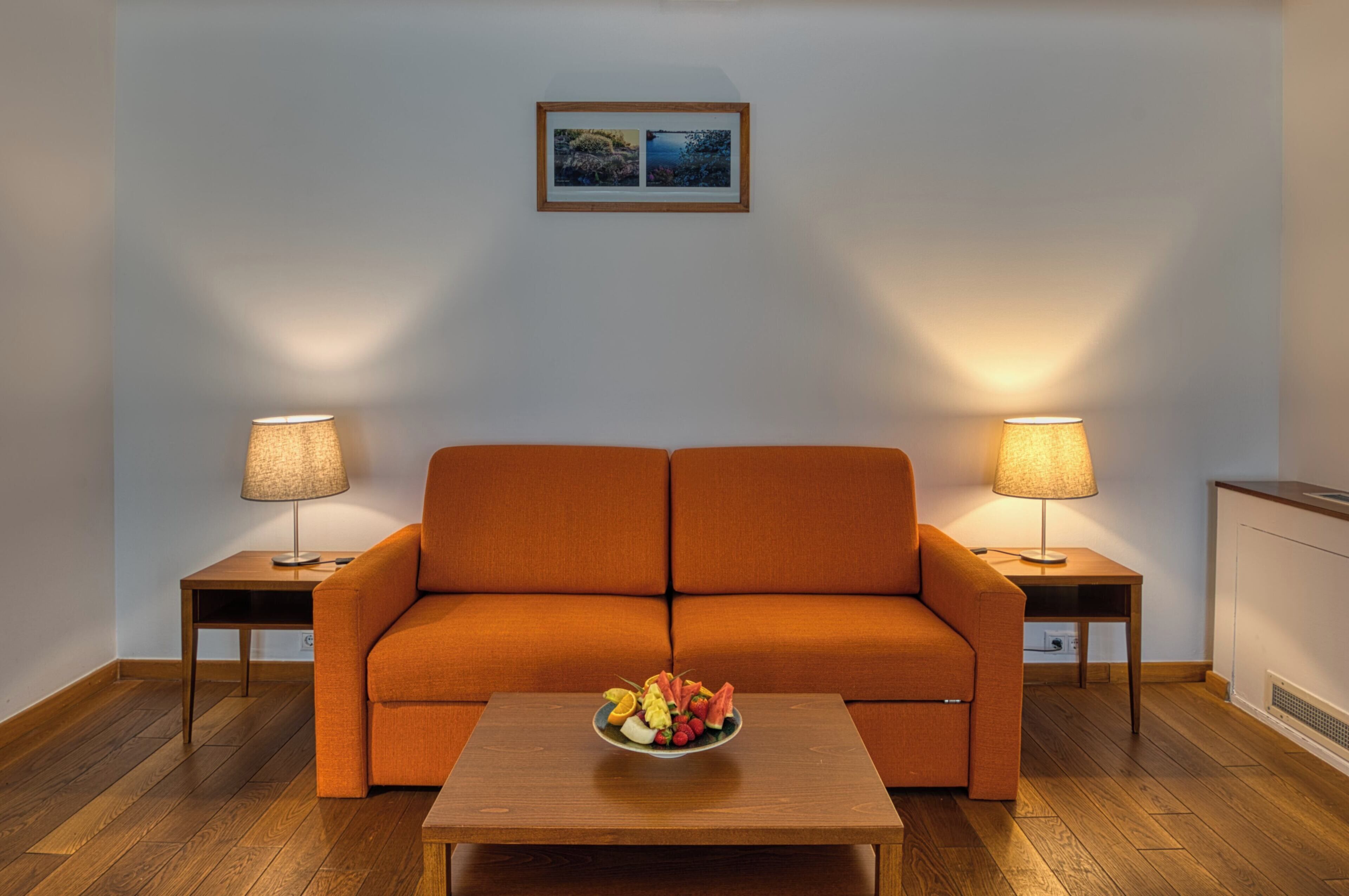 deluxe apartment | living area | tv, toys