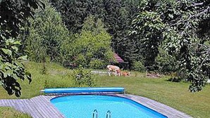 A rectangular swimming pool with a wooden deck surrounding it, set in a grassy area with trees and a house in the background. - Salzburger Dolomitenhof (Annaberg-Lungoetz)
