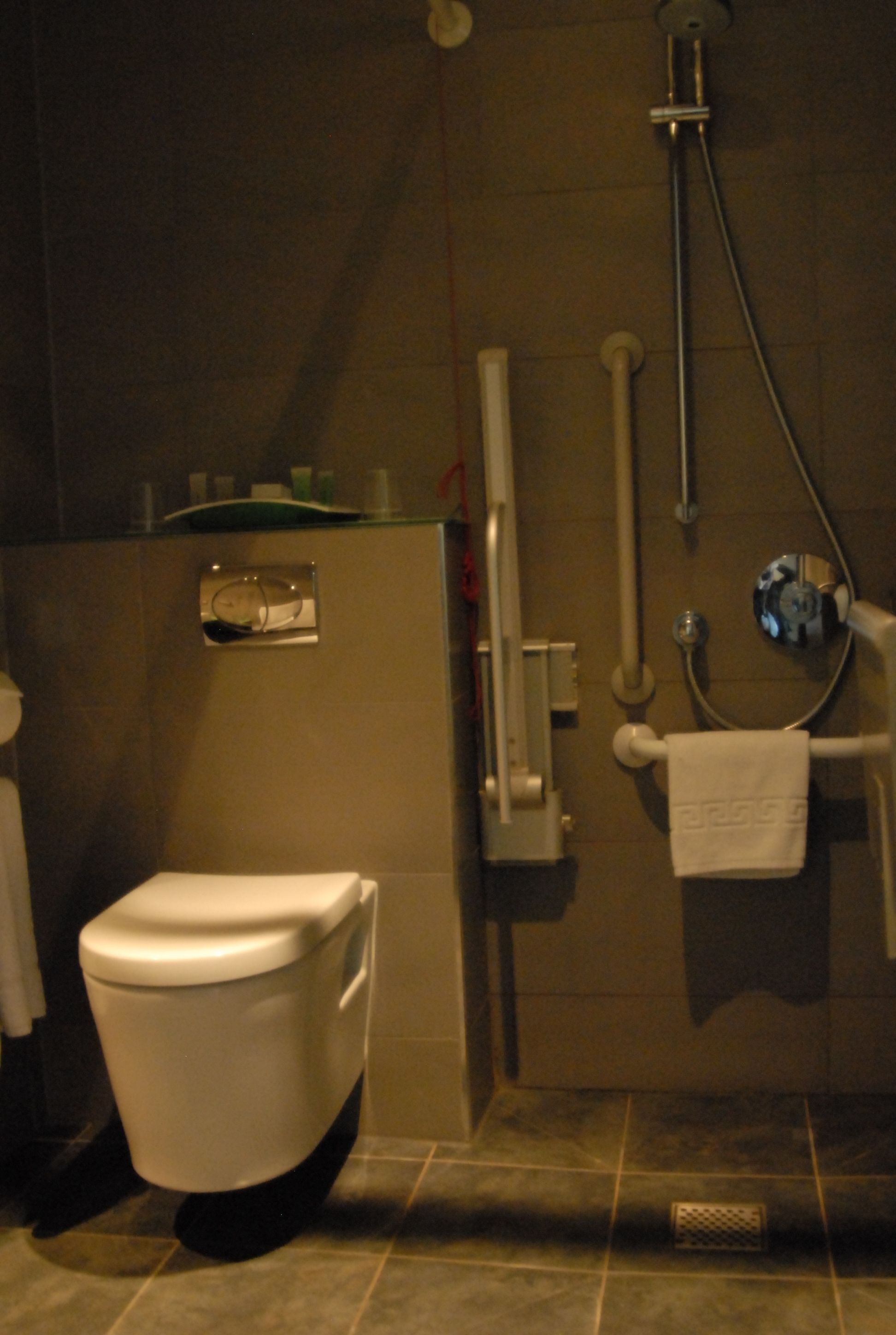 A bathroom with a toilet, a shower, and a towel rack.