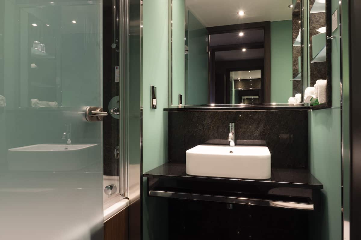 combined shower/bathtub, free toiletries, hair dryer, towels