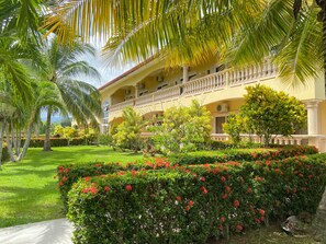 Queen Garden | Terassi/patio