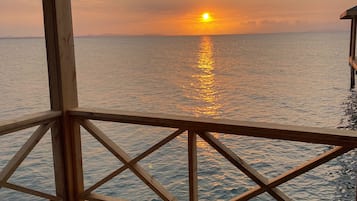 Muelle