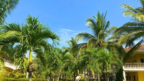 A pathway lined with palm trees and red flowers, leading to a yellow building with a balcony. - La Ensenada Beach Resort - All Inclusive (Tela)