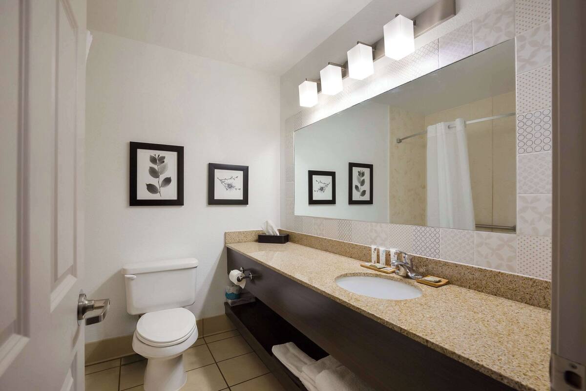 combined shower/bathtub, hair dryer, towels