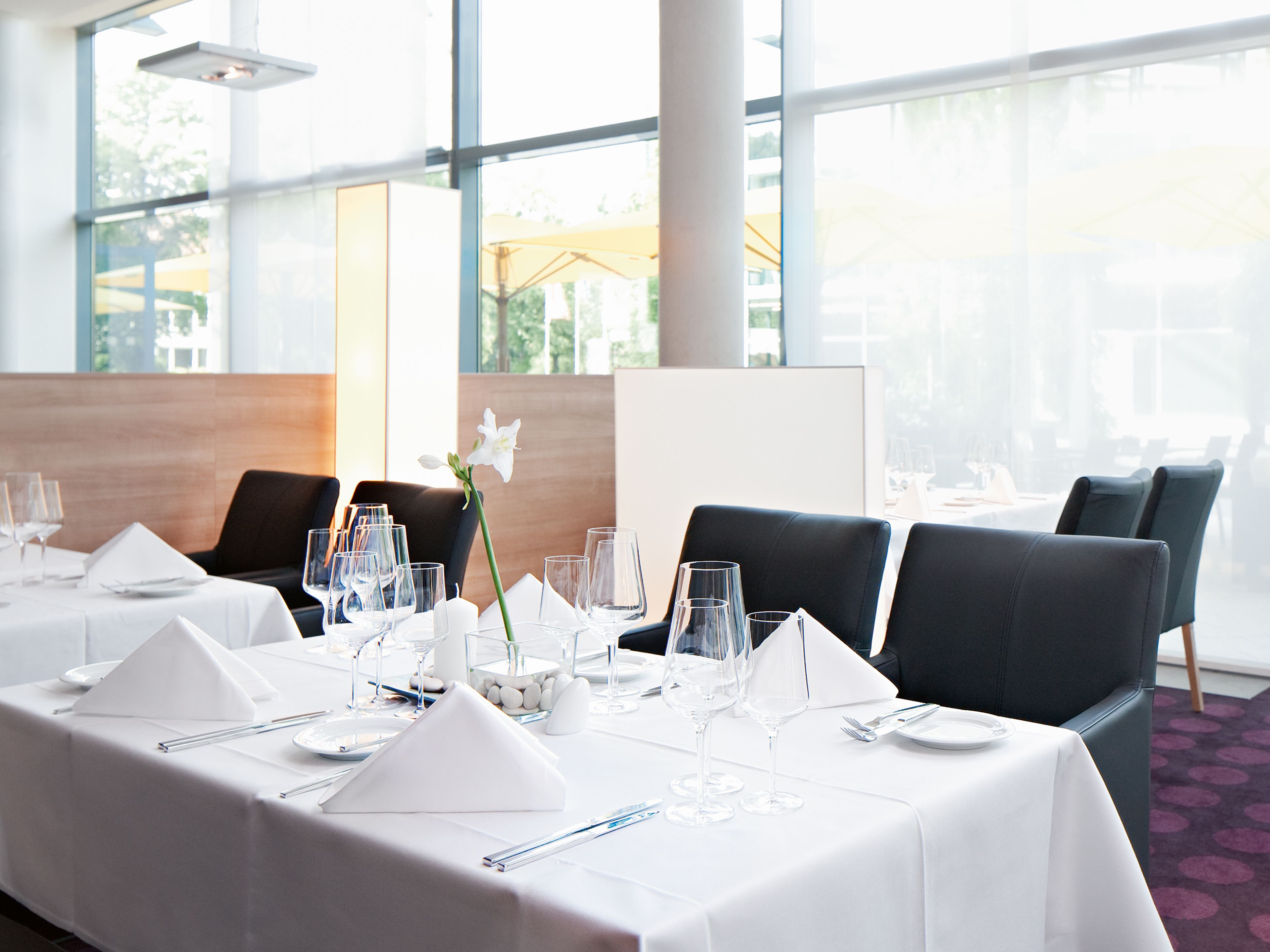 Ein Konferenzraum mit langem Tisch, gedeckt für eine Besprechung, großen Fenstern und Blick ins Freie.