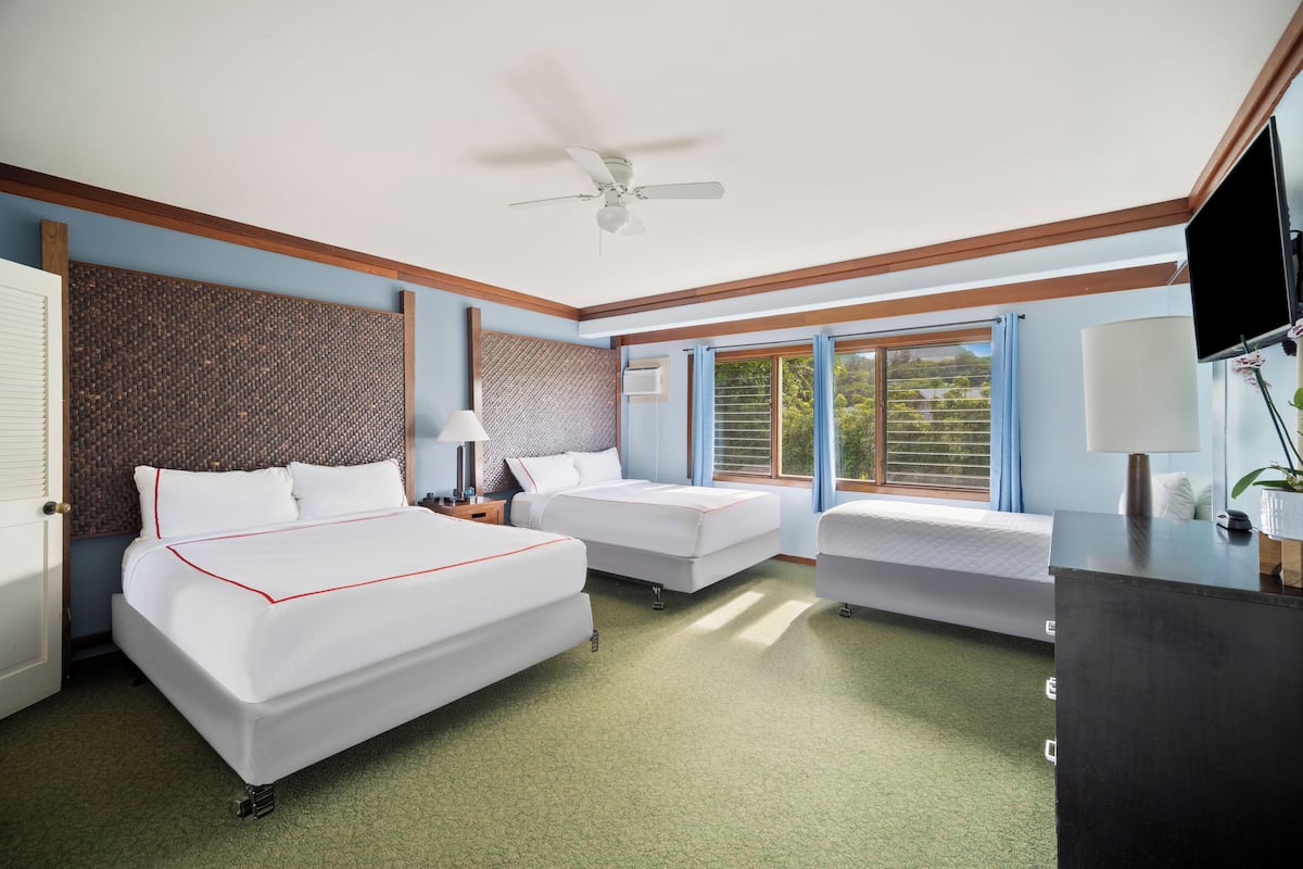 A hotel room with two beds, a ceiling fan, a TV, and a window with a view of greenery.