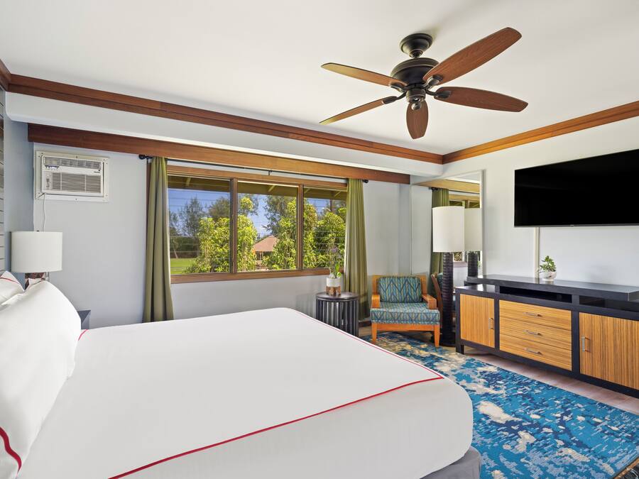 A hotel room with a large bed, a ceiling fan, a TV, a desk, and a view of the outdoors.