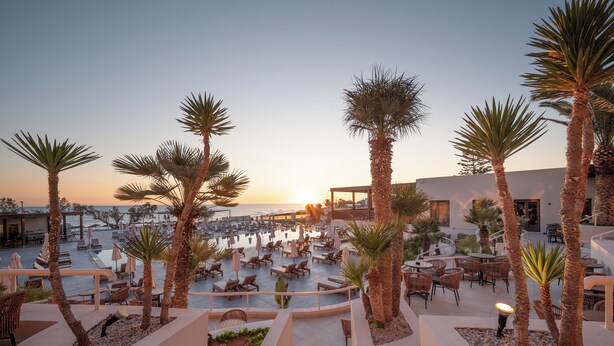 Área de piscina en un resort con palmeras, sillas de descanso y vistas al atardecer.