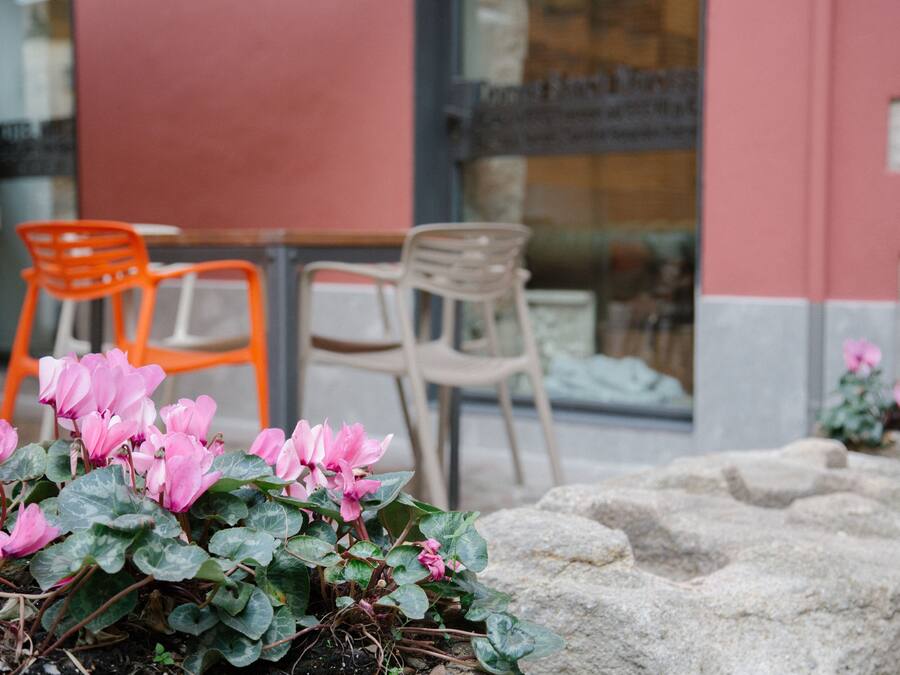 Giardino
