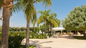 Un patio de resort con palmeras, mobiliario exterior y una zona de piscina.