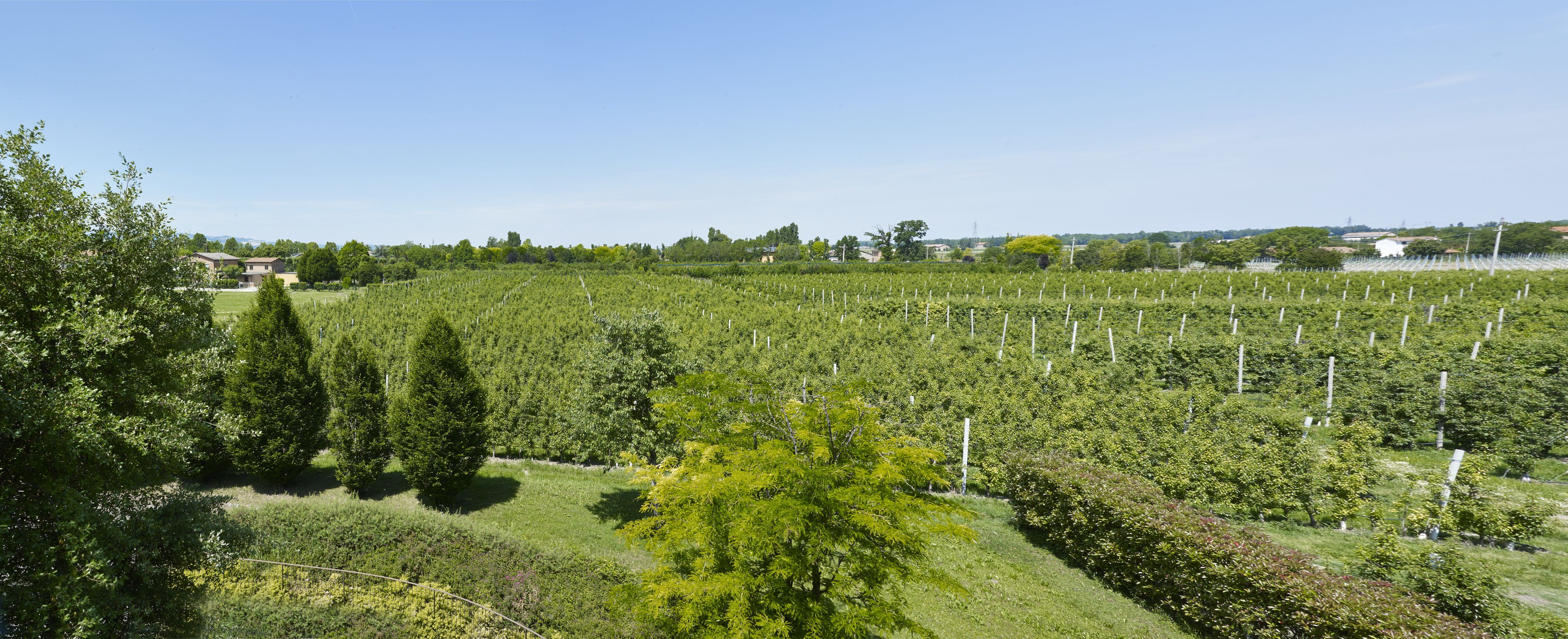 single room | view from room