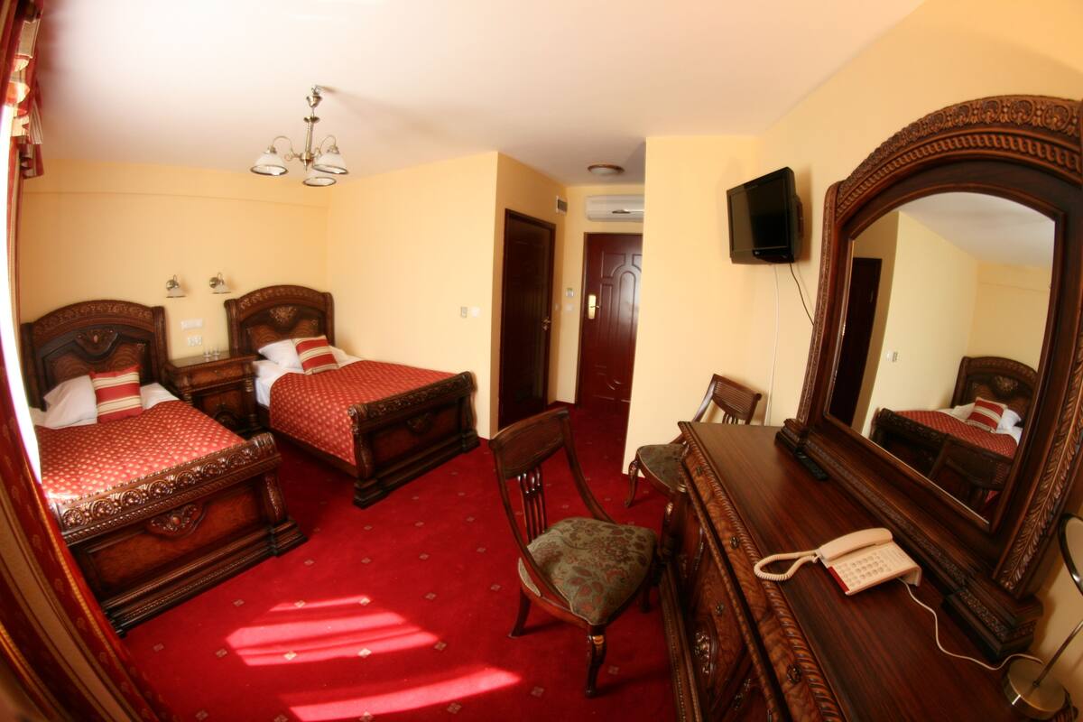 A hotel room with two wooden beds, a red carpet, a wooden dresser, a chair, a telephone, a mirror, and a television on the wall.