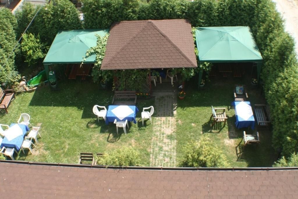 Foto - Daisy Superior