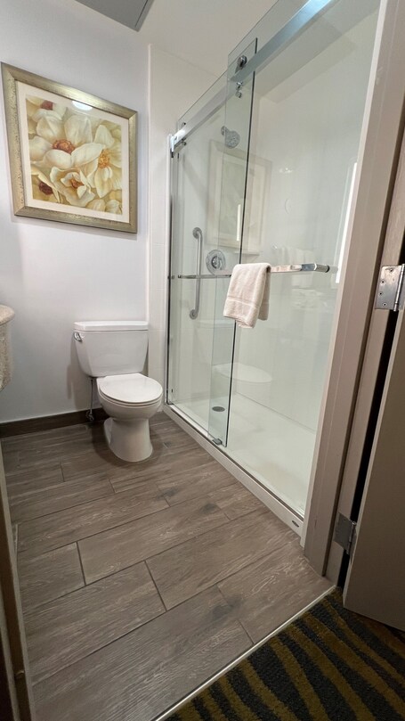 Hilton Garden Inn Lake Buena Vista Orlando - Image 6