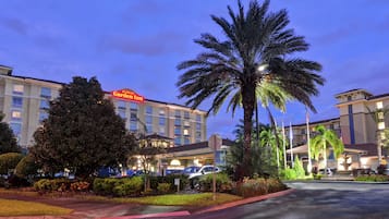 A hotel with a large palm tree, a parking lot, and a sign for the Hilton Garden Inn.
