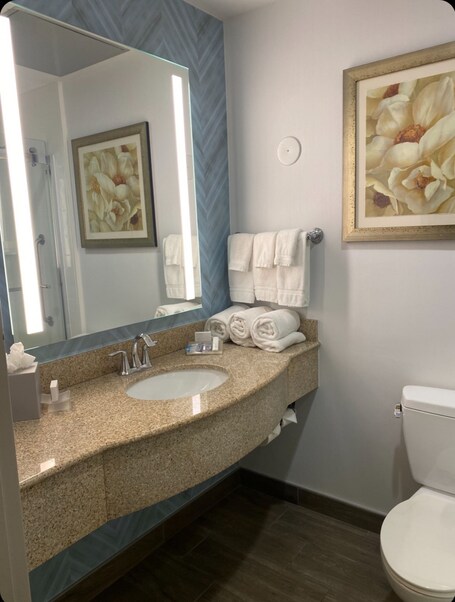 Hilton Garden Inn Lake Buena Vista Orlando - Image 26