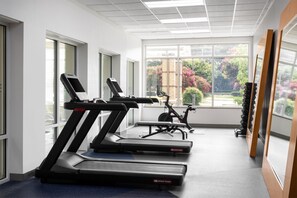 A gym with treadmills, an exercise bike, and dumbbells.