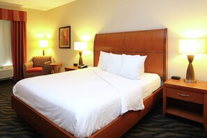 In-room safe, iron/ironing board, free cribs/infant beds, rollaway beds - Hilton Garden Inn Chesapeake/Suffolk (Suffolk)