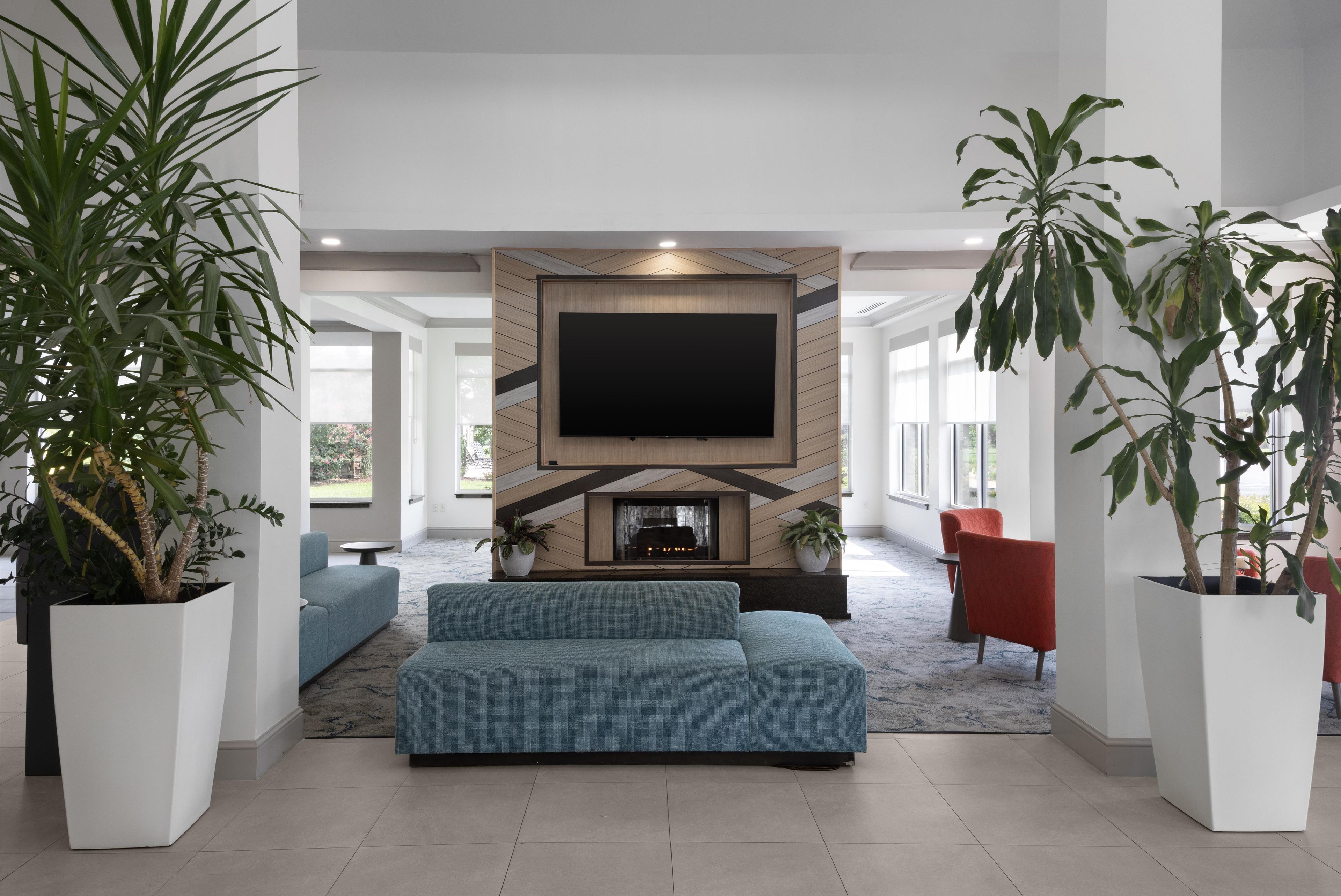 Un salon moderne avec un téléviseur à écran plat fixé à un mur en bois, un canapé bleu et deux fauteuils rouges. Des plantes en pot sont disposées de part et d’autre de la pièce.