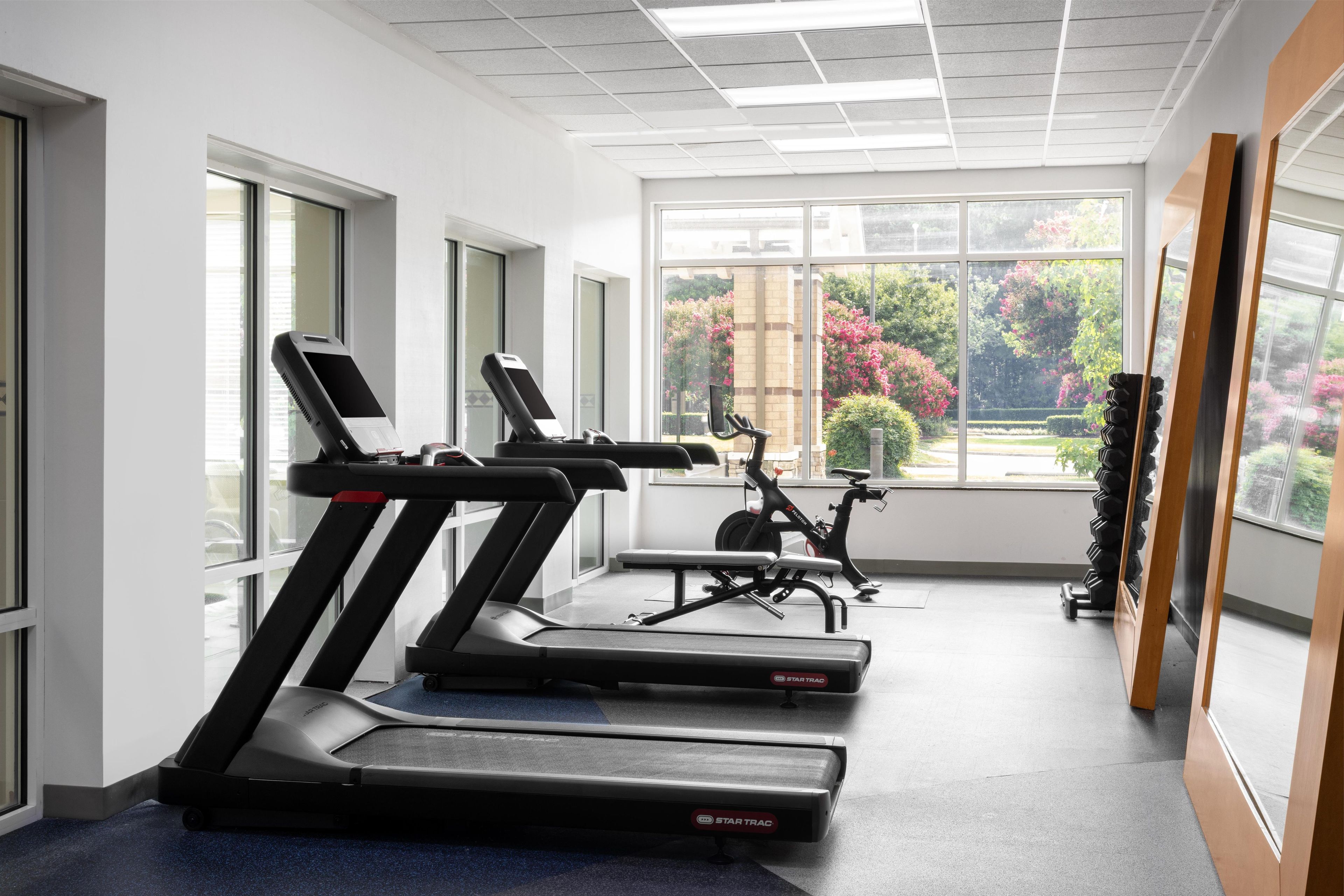 Ein Fitnessstudio mit Laufbändern, einem Ergometer und Hanteln.