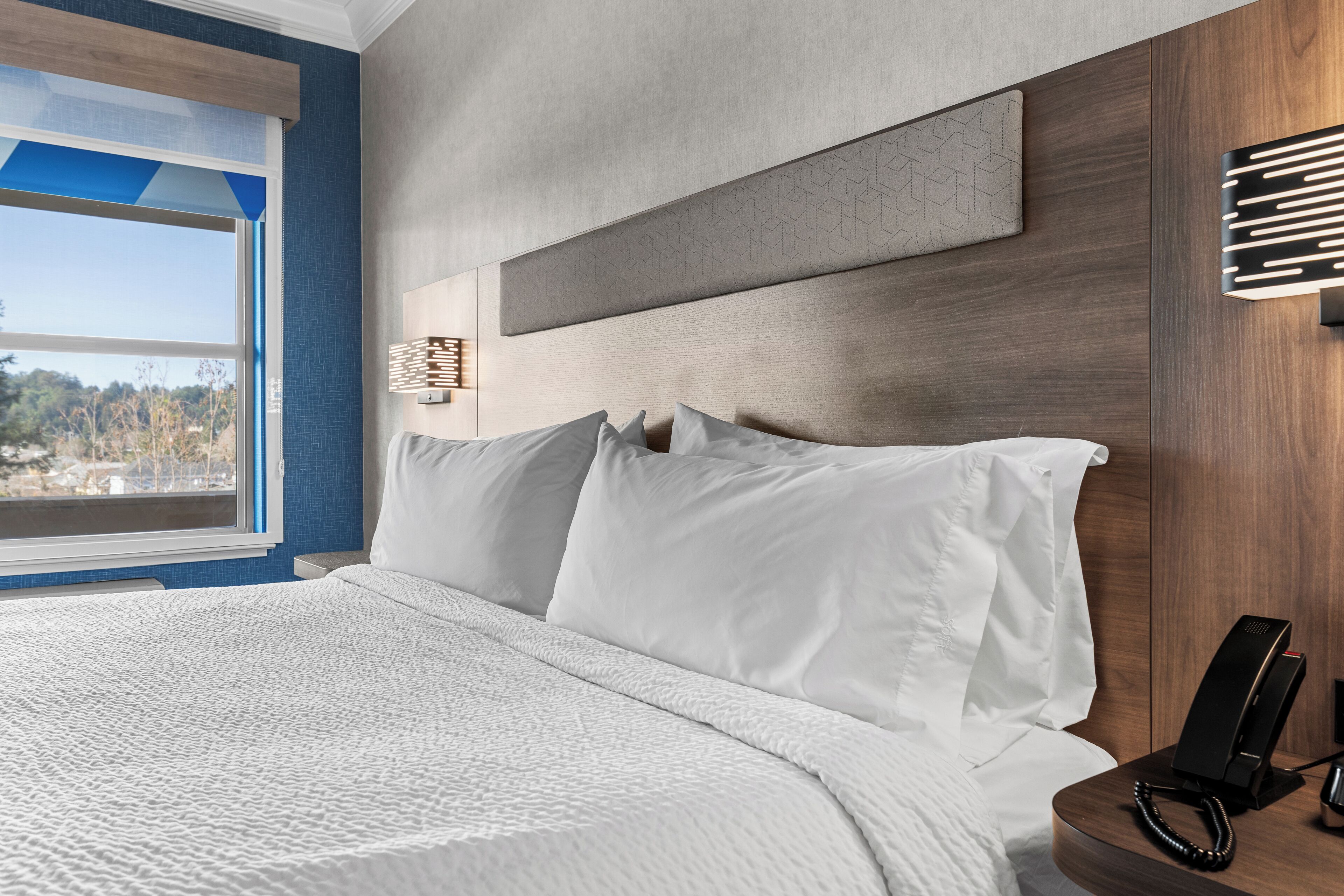 A hotel room with a large bed, a bedside table with a phone, and a view of the outdoors.