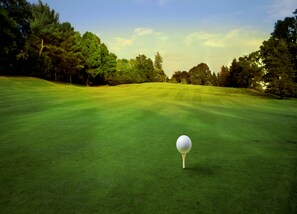 Golf - Residenza d'epoca il Biribino (Città di Castello)