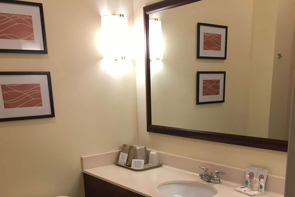 Bathroom | Combined shower/tub, free toiletries, hair dryer, towels