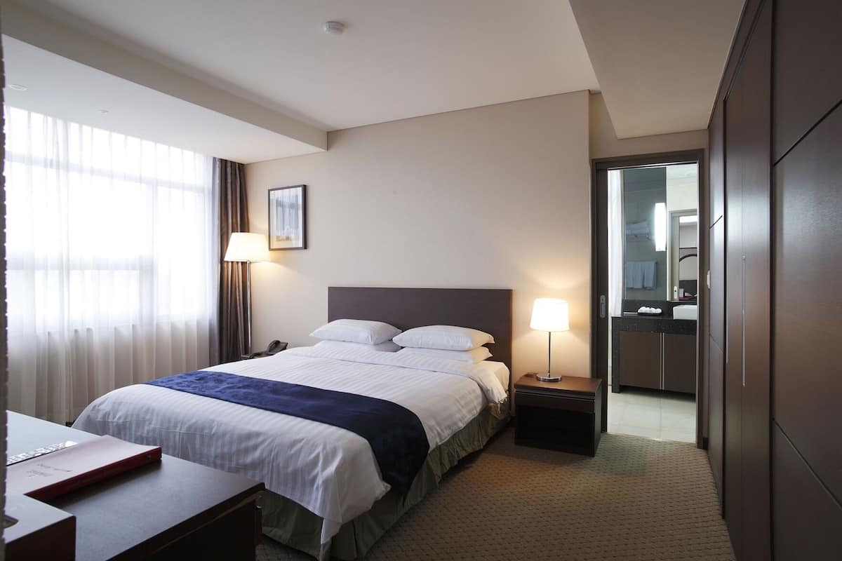 Minibar, coffres-forts dans les chambres, bureau, Wi-Fi gratuit