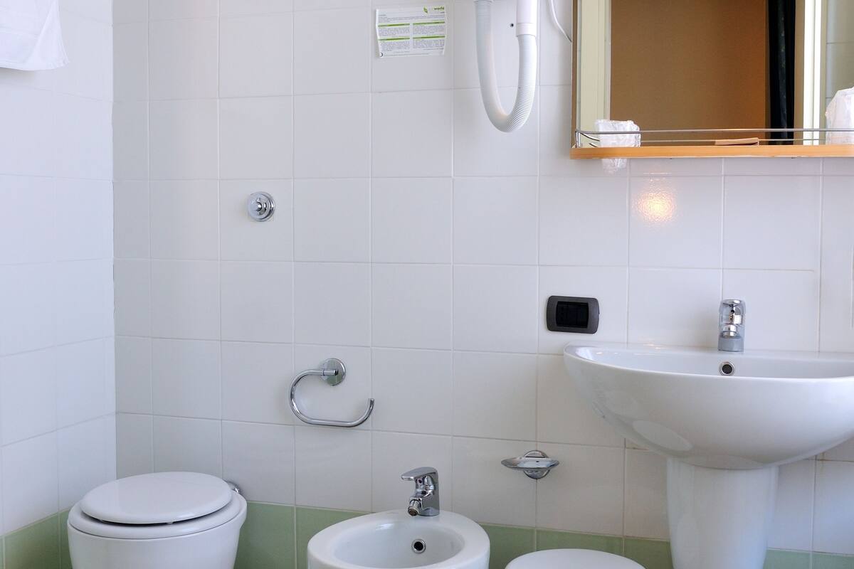 shower, free toiletries, hair dryer, bidet