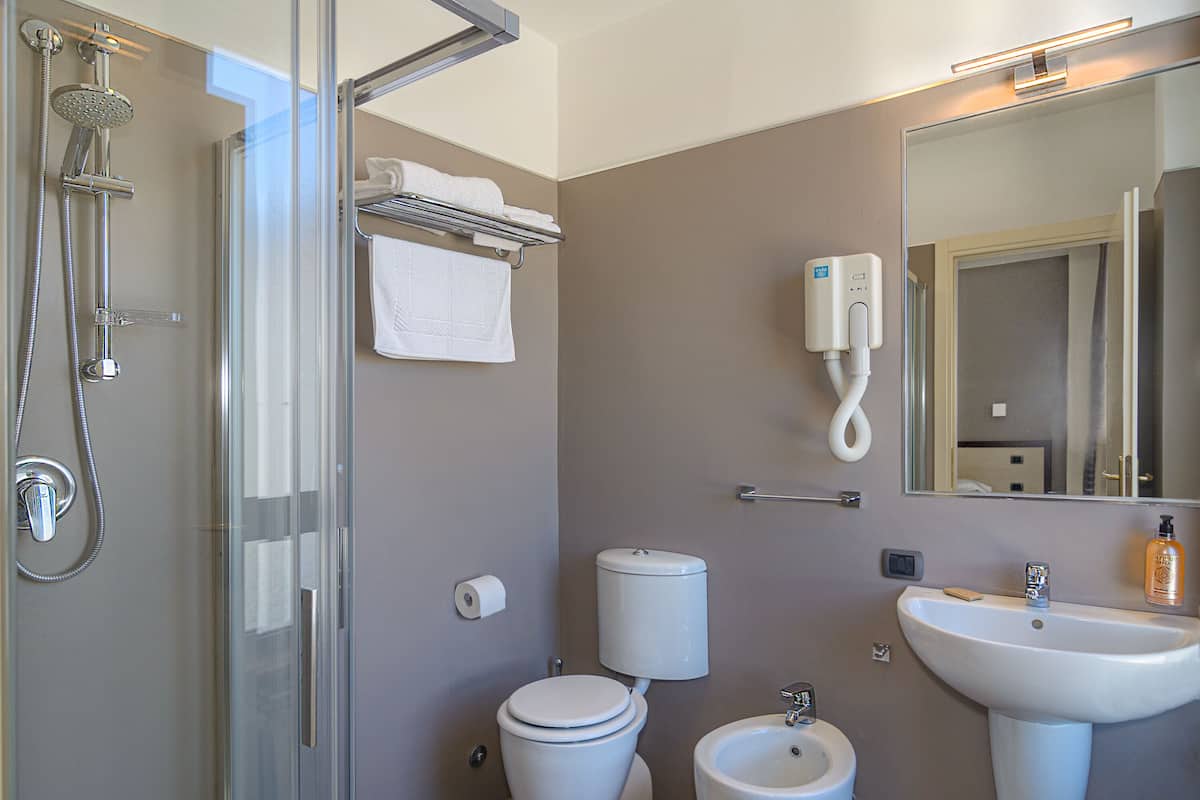 shower, free toiletries, hair dryer, bidet