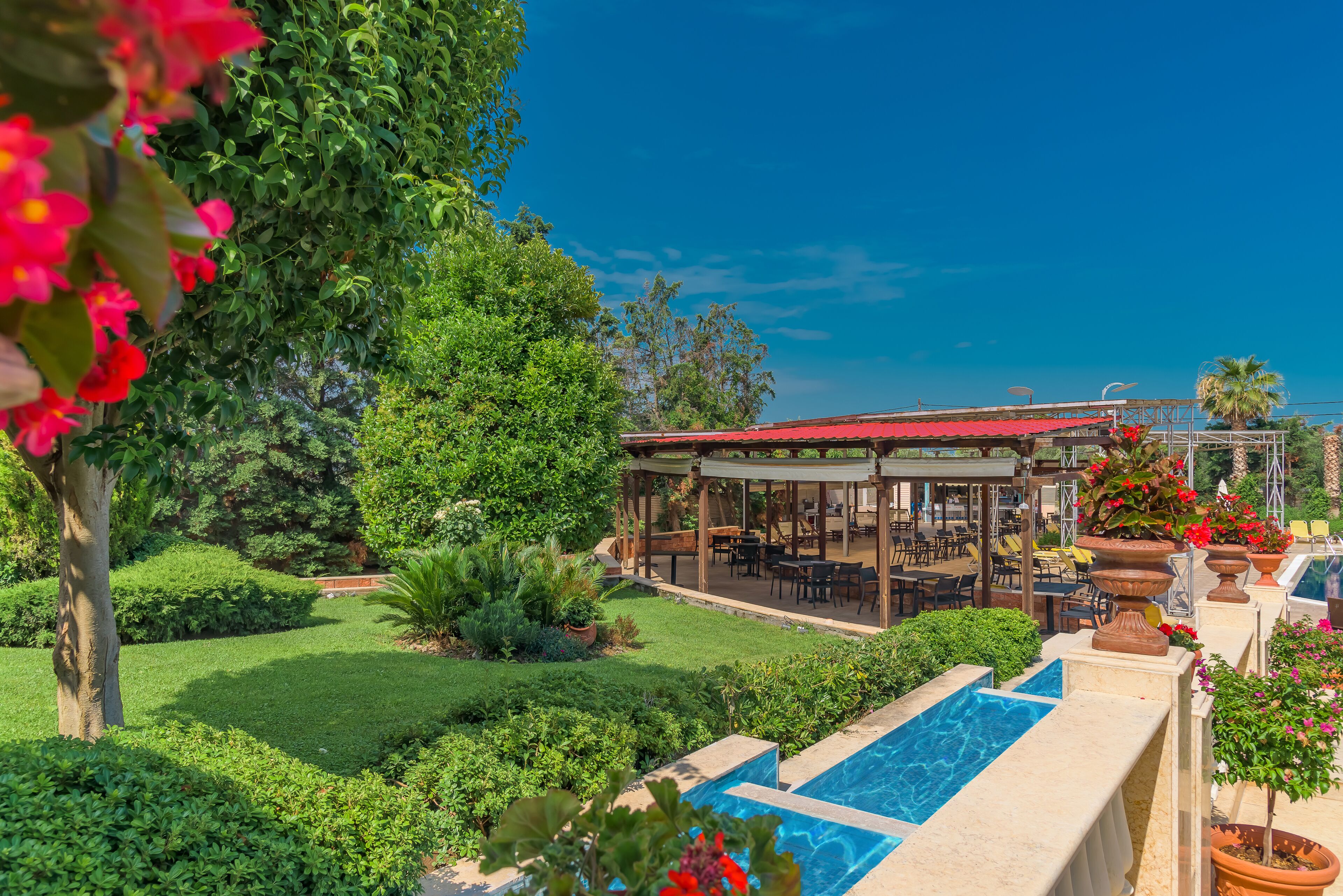 Un área de piscina con un patio cubierto, abundante vegetación y un cielo azul despejado.