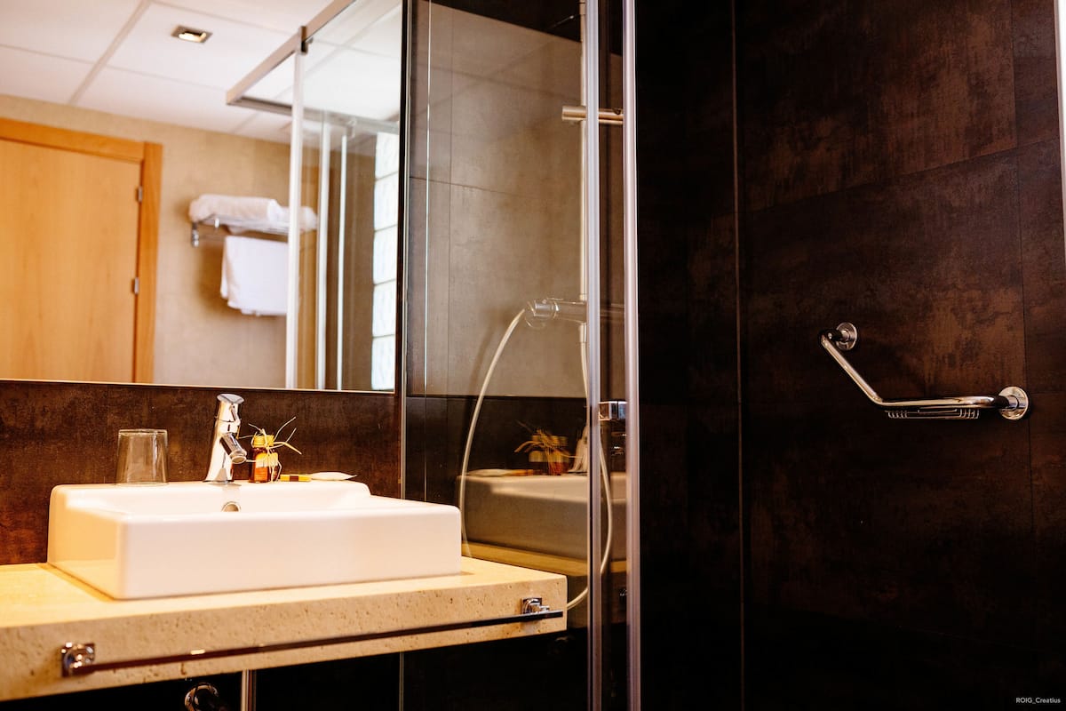 standard room | bathroom sink