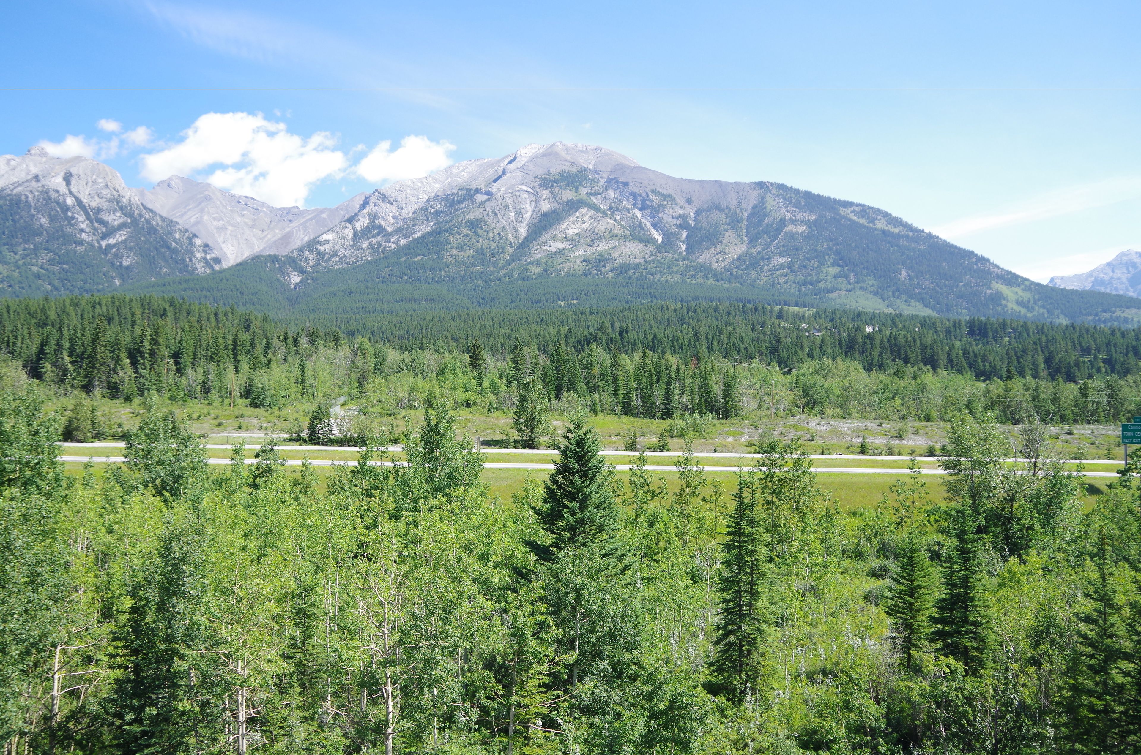A mountainous landscape with dense forests and a clear sky.