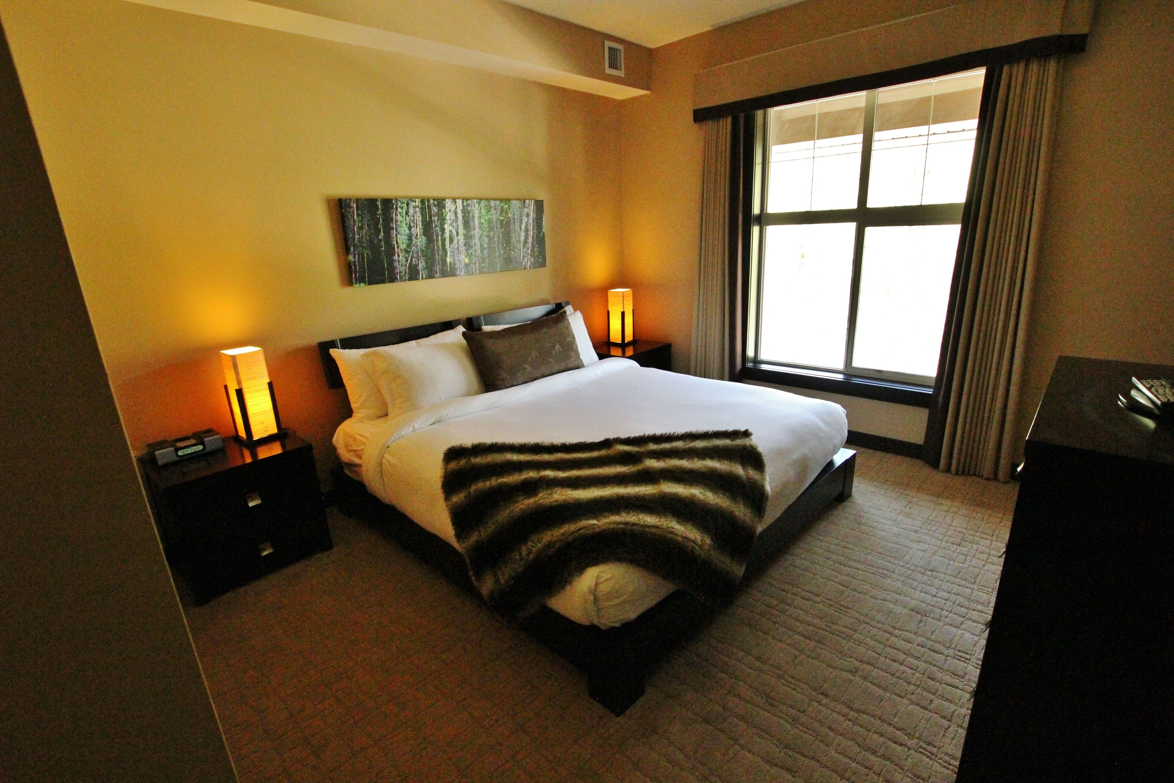 套房, 1 间卧室 | 客房内保险箱、熨斗/熨衣板、免费 WiFi、床单