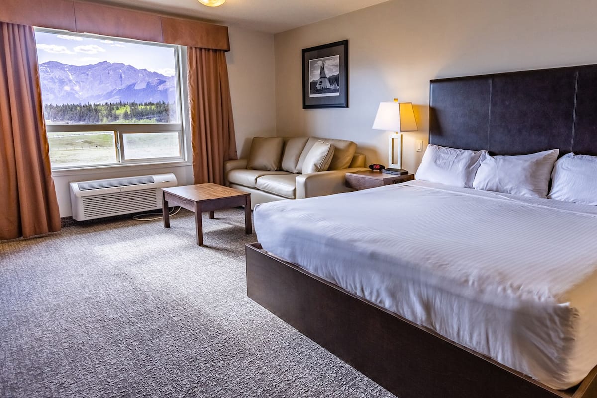 Room, 1 King Bed, Mountain View
