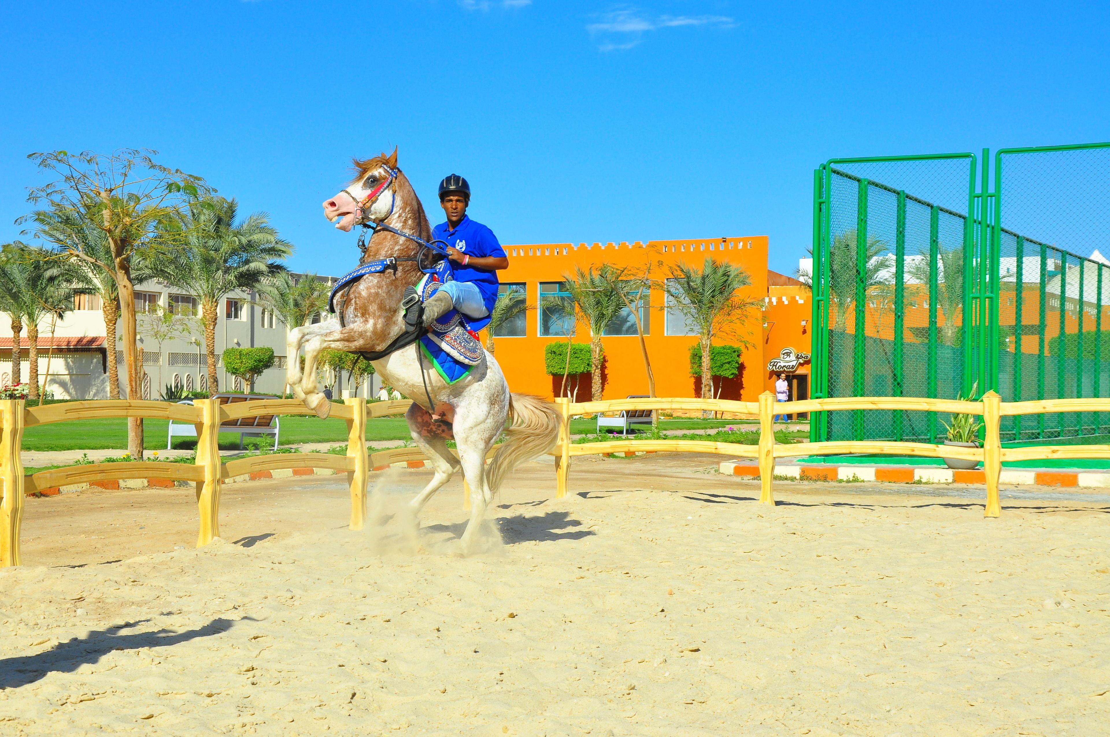 Photo - Sunrise Garden Beach Resort