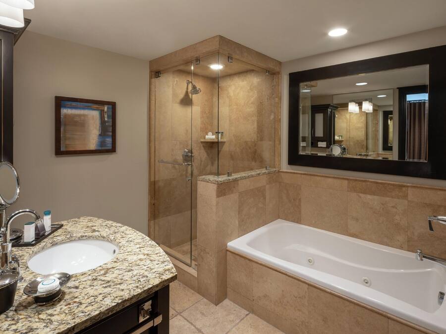 A modern bathroom with a granite countertop sink, a large mirror, a walk-in shower, and a standalone bathtub.