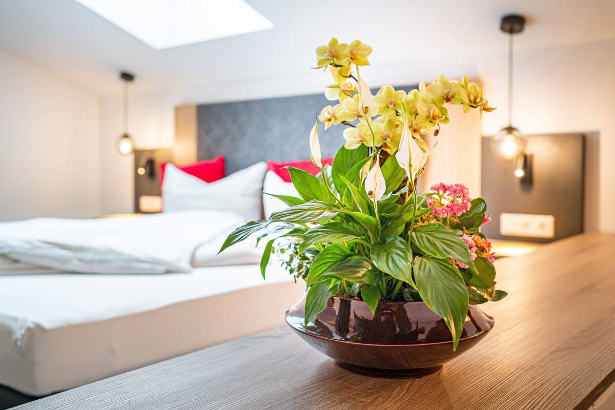 Une chambre d’hôtel moderne, avec un lit, une table de chevet agrémentée d’une plante en pot, et une vue sur le ciel par la fenêtre.