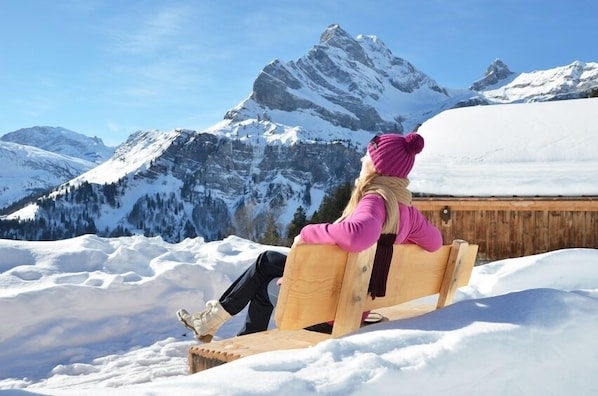 A person sitting on a wooden bench in a snowy landscape with a mountain in the background.