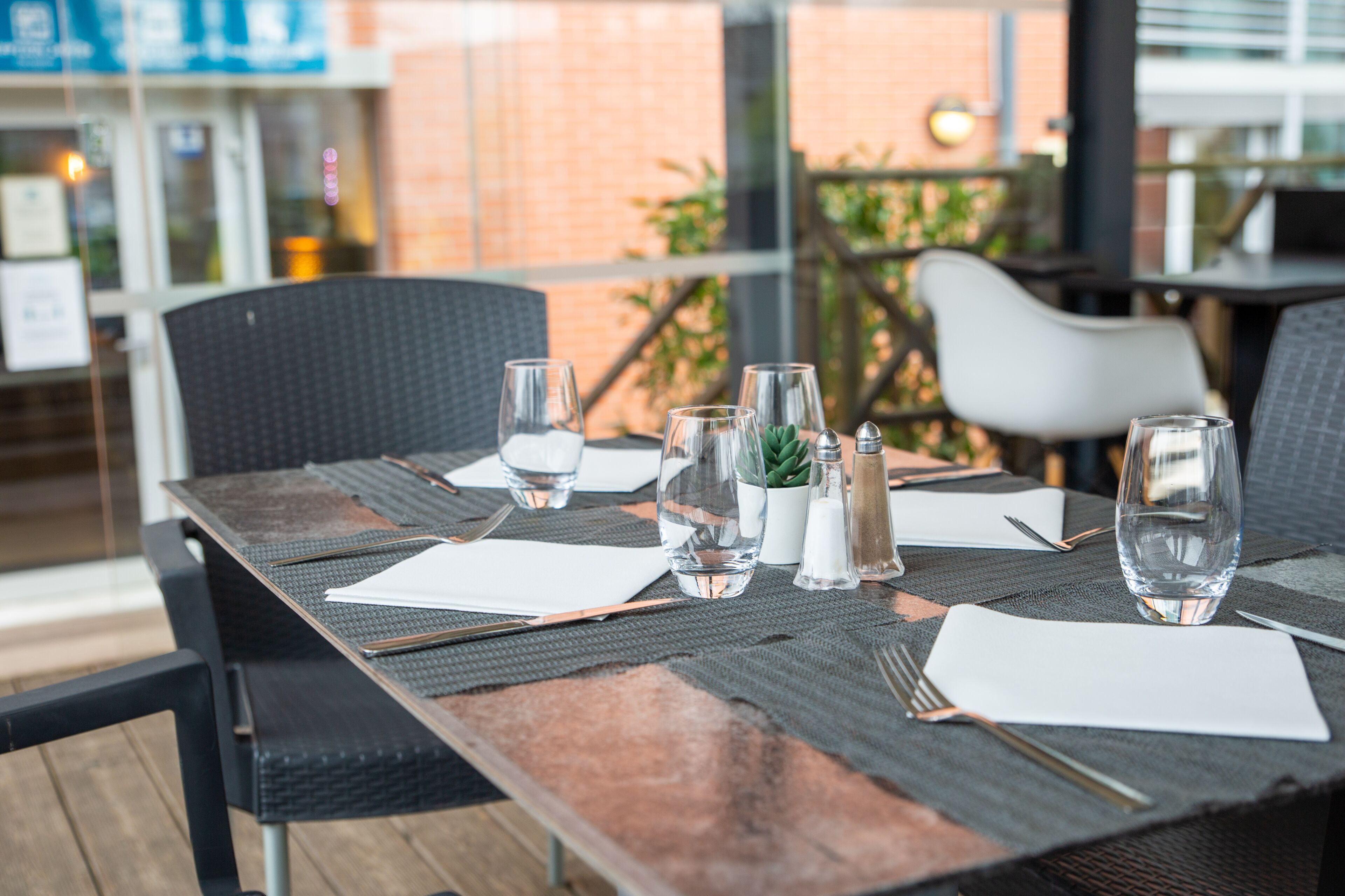 A dining table set with water glasses, a salt and pepper shaker, and a small potted plant.