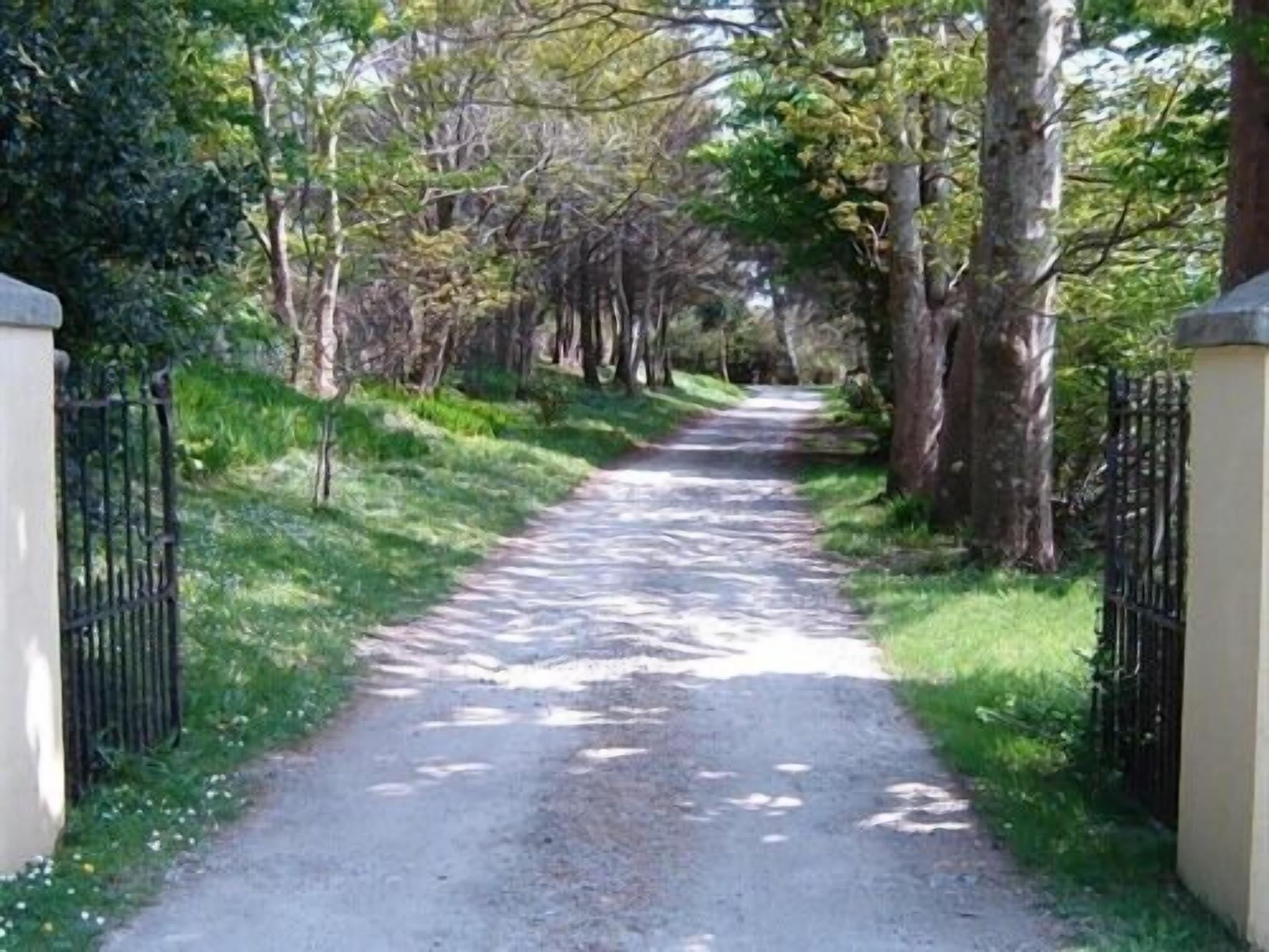 Un chemin de gravier bordé d’arbres et d’une clôture en métal noir, qui mène à une zone boisée.