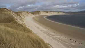 Una playa arenosa con dunas y una costa curva.