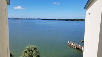 A view of a calm body of water with a wooden dock extending into it, surrounded by greenery and a distant shoreline with buildings.