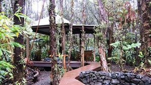 A wooden deck surrounded by trees, leading to a covered area with a stone wall.